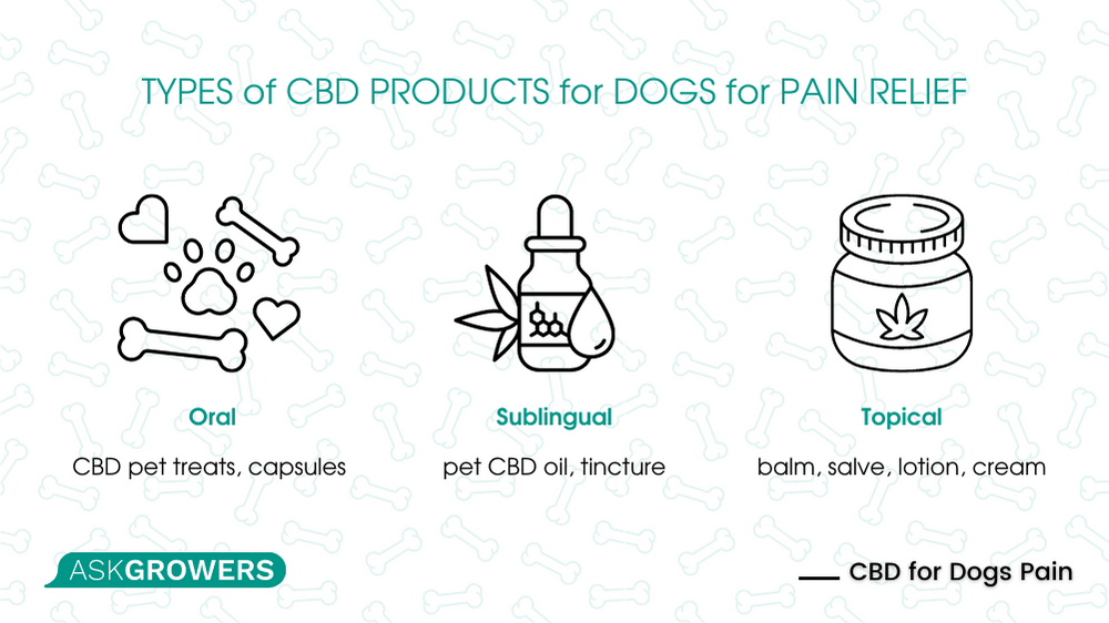 /CBD oil for dogs with joint pain